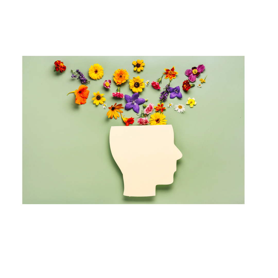 Measurement tools Image